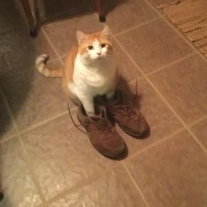 Meet your Posher, Barbara